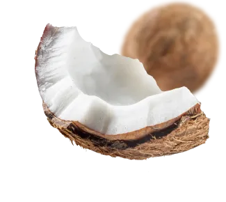 Our Story Coconuts