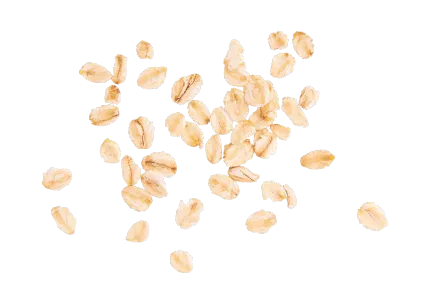 Our Story Grains
